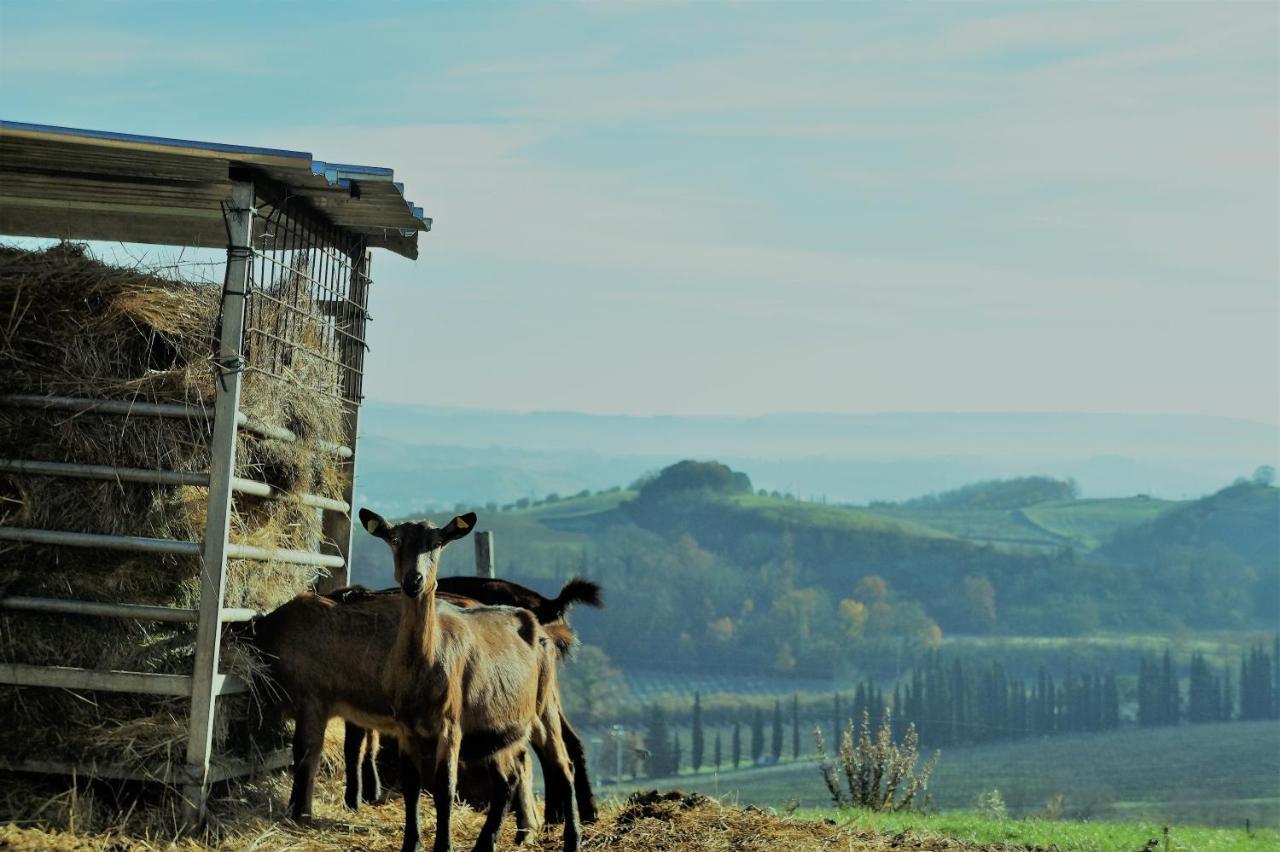 Bed & Breakfast Fattoria Le Caprine *