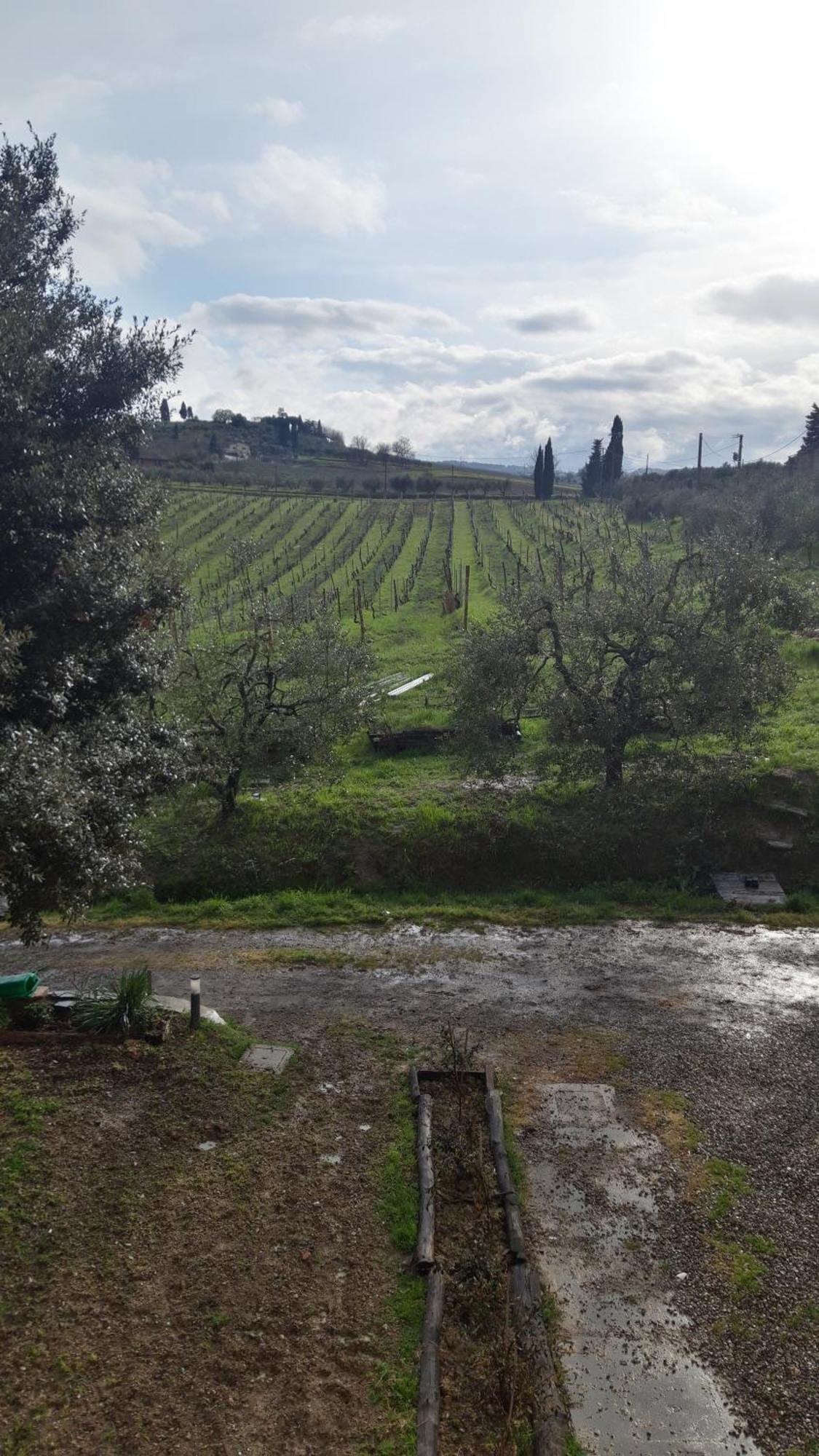 Fattoria Le Caprine * Gambassi Terme